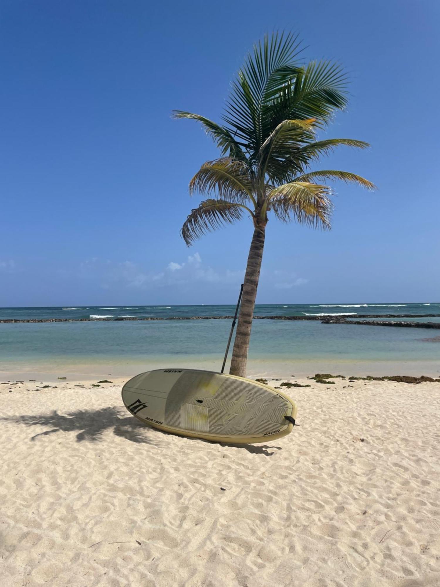 פורטו אוונטורס Casa Manglar Riviera Maya מראה חיצוני תמונה